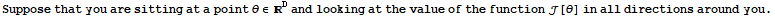 Suppose that you are sitting at a point θ∈^D and looking at the value of the function [θ] in all directions around you .