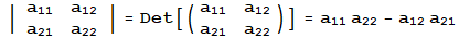 | {{a_11, a_12}, {a_21, a_22}} | = Det[({{a_11, a_12}, {a_21, a_22}})] = a_11 a_22 - a_12 a_21